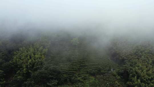 山雾自然风景