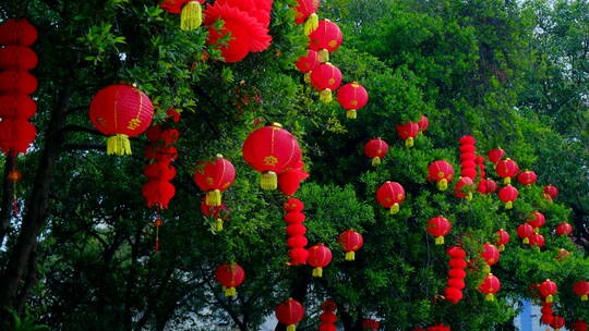 过年春节挂在树上的灯笼