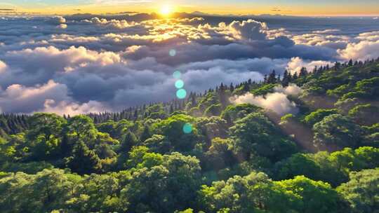 森林阳光云海森林云雾缭绕树林山大自然山峰