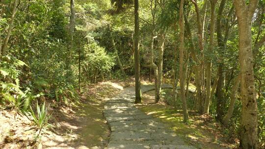 福建太姥山自然风景