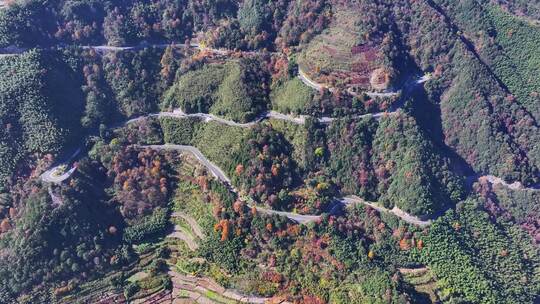 四明山 盘山公路 秋色 秋天 余姚