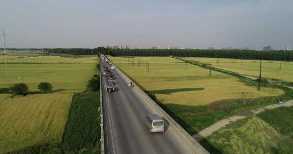 航拍潜江乡村稻田公路汽车