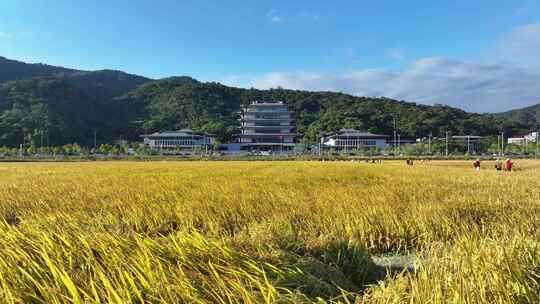 中国广东省广州市从化区广州国家版本馆