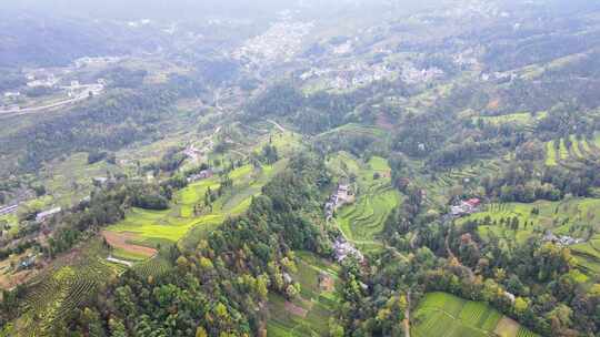 大山里的绿色茶园美景景色航拍