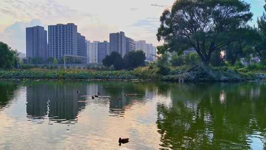 秋天的北京城市公园风光