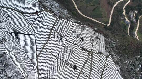 大自然寒潮冬天下雪的村庄田野航拍风景