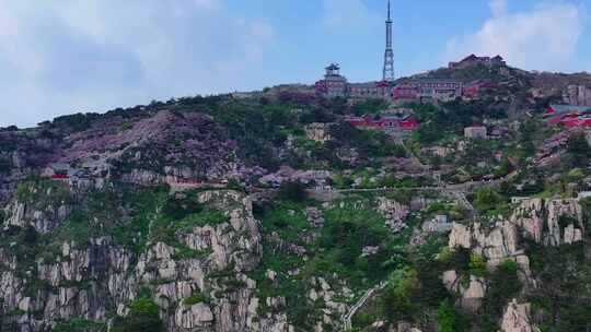 五月的泰山