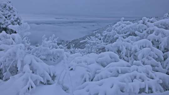 杭州牵牛岗群山森林雪景云海延时