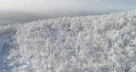 零下40度的低温航拍大兴安岭冰雪雾凇