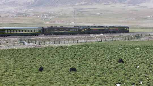 青藏铁路火车行驶自然风光