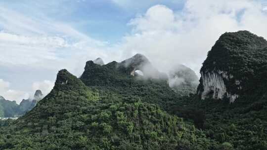 云雾缭绕的山林景观