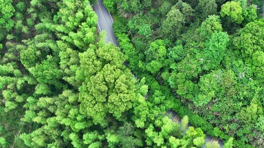 航拍汽车行驶在盘山公路