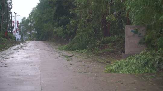 台风过后的路面狂风暴雨后的公路树林吹断树