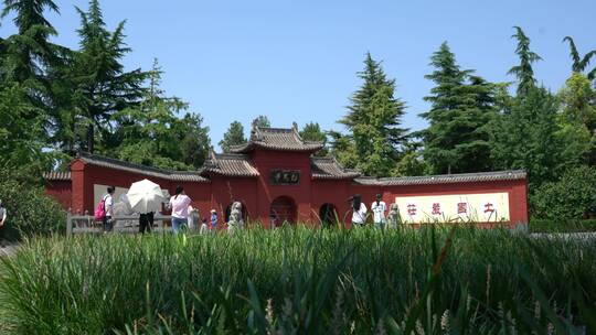 洛阳白马寺国际佛殿泰国寺庙古建筑光影