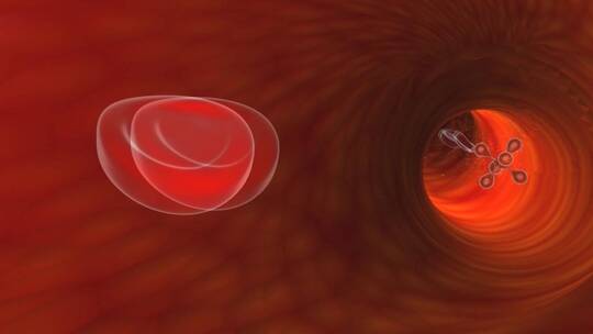 3d人体血细胞血小板流动动画