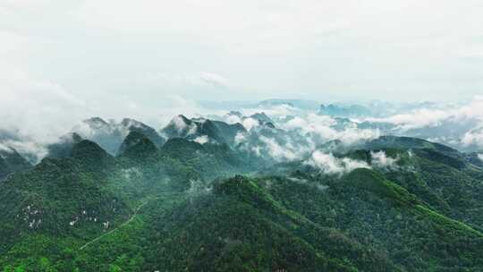 广西十万大山