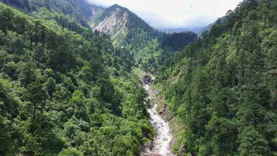 航拍四川甘孜贡嘎山区南门关沟森林河谷风光