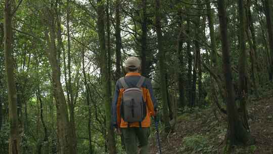 森林徒步登山户外旅行