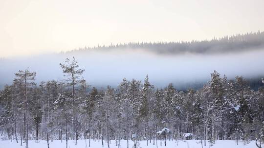 冬季森林日出晨雾唯美影视级视觉
