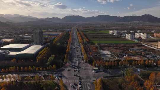 航拍 石家庄 秋天 蓝天白云 城市建设 道路