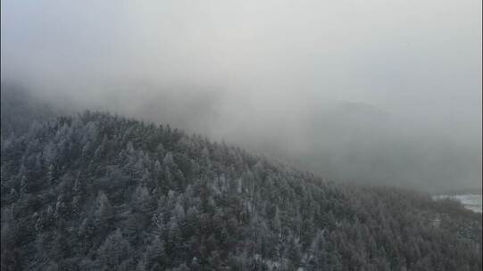 雪山雾凇大景视频素材模板下载