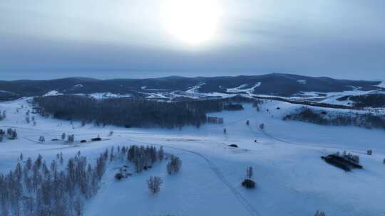 雪后空旷原野疏林点缀其间