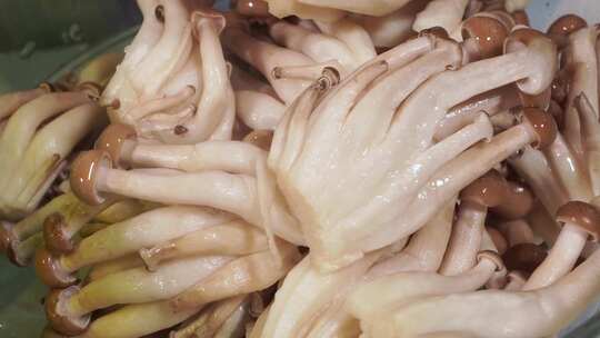 浸泡清洗海鲜菇蟹味菇