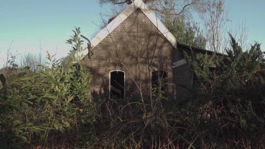森林里废弃的房子