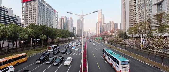 深圳滨河大道车流