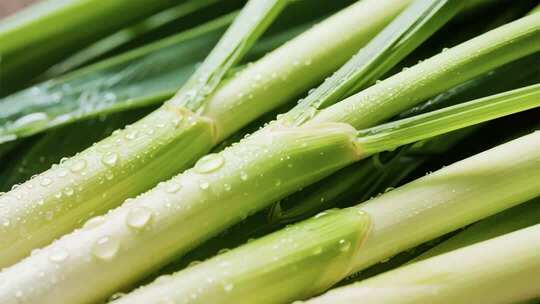 新鲜大葱微距特写素材