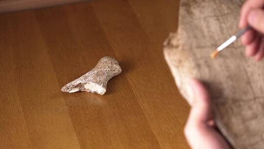 考古人手拿刷子轻扫甲骨文远古文化考古研究视频素材模板下载