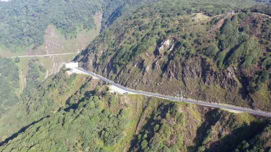 云南哀牢山金山原始森林