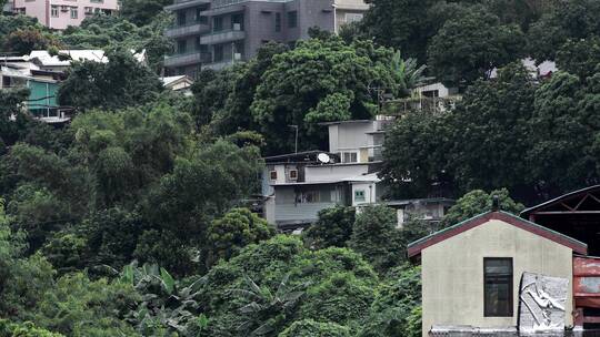 香港老村庄棚户区人文视频视频素材模板下载