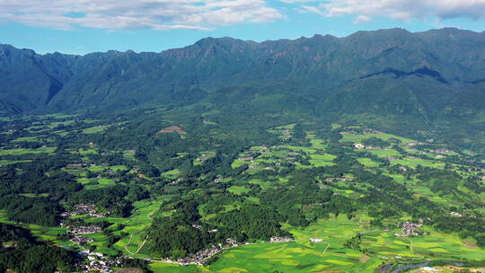 夏天绿色的高黎贡山