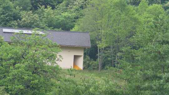 乡村 自然 溪流 村庄 航拍 蜂巢 森林