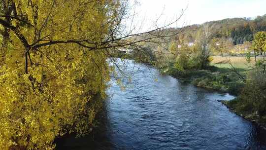 秋天河边变黄的树叶和潺潺的流水