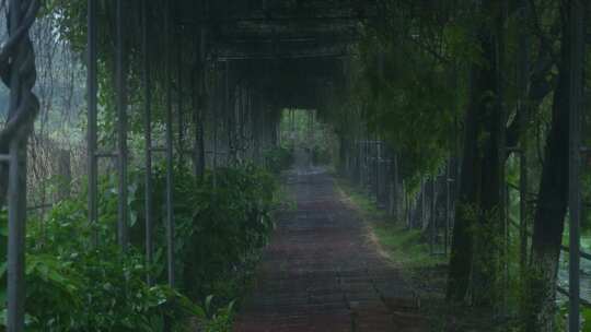 下雨的走廊长廊