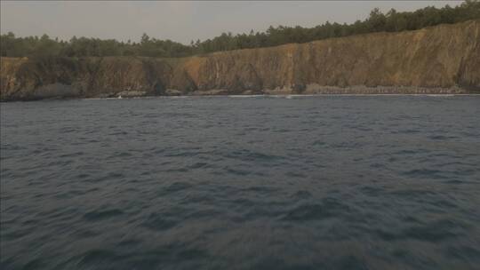 海面上飞行的海鸟