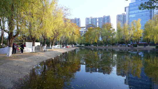 武汉东西湖常青花园中心公园风景