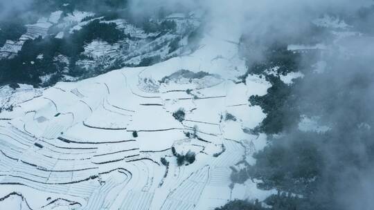 冬季白雾白雪覆盖田野山川森林梯田线条