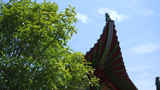 武汉洪山区宝通禅寺皇家寺院