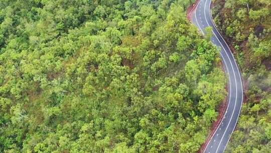 热带森林中道路的俯视图