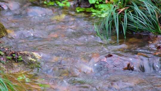 小溪流水倒影特写风景视频素材