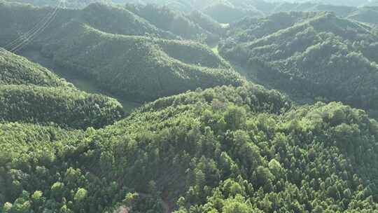 森林航拍山水树林自然风景大自然风光绿色山