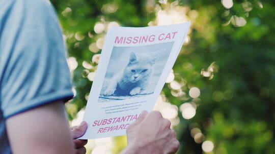 拿失踪猫咪公告的人