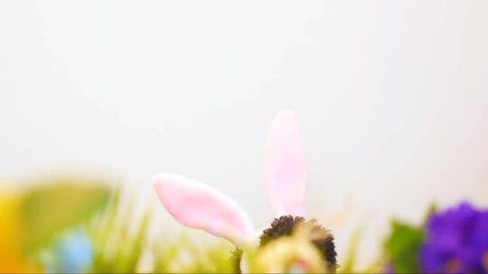 有趣的小狗戴着复活节兔子耳朵