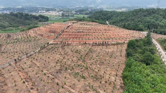 航拍新农村发展种植园基地