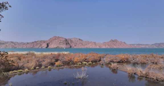 赤金峡水库胡杨林湿地