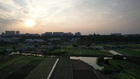 夕阳下的城郊农业基地航拍