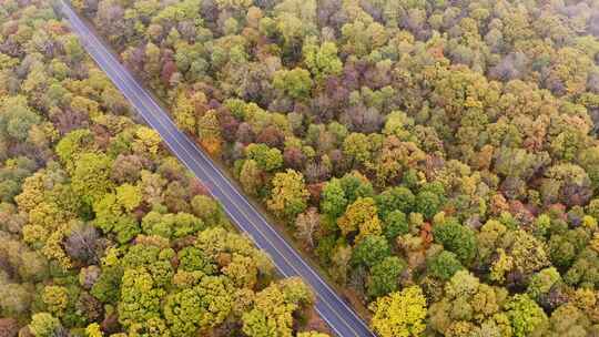 航拍秋季森林道路